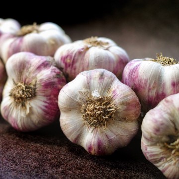 Lilibetz - Fleur d'Ail Violet et Huile d'Olive