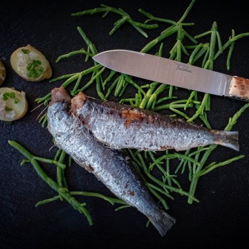 Conserverie Artisanale Kusiak - Sardines à l'Huile d'Olive et au Piment d'Espelette