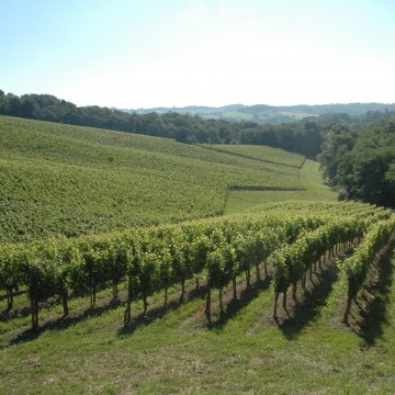 Domaine Lapeyre et Guilhemas