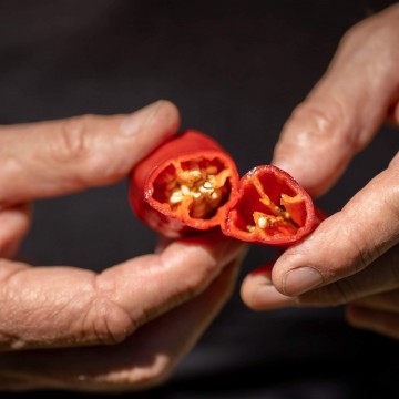 Maison Malnou - Verrine de Piment du Béarn Fumé au Bois de Laurier - Certifié Bio