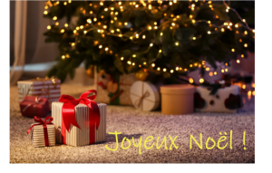 
			                        			JOYEUX NOËL